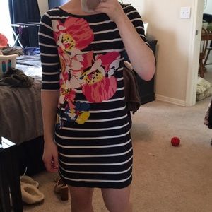 French connection cotton dress